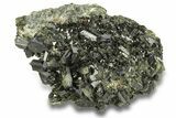 Lustrous, Epidote Crystal Cluster on Actinolite - Pakistan #257758-1